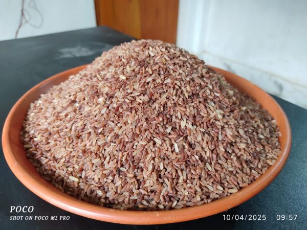 ঢেঁকি ছাটা গান্জিয়া ফুল ফাইবার  লাল চাল। ৫ কেজি